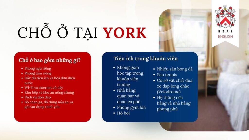 cho-o-tai-university-of-york