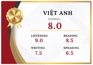 3. Việt Anh - 8.0