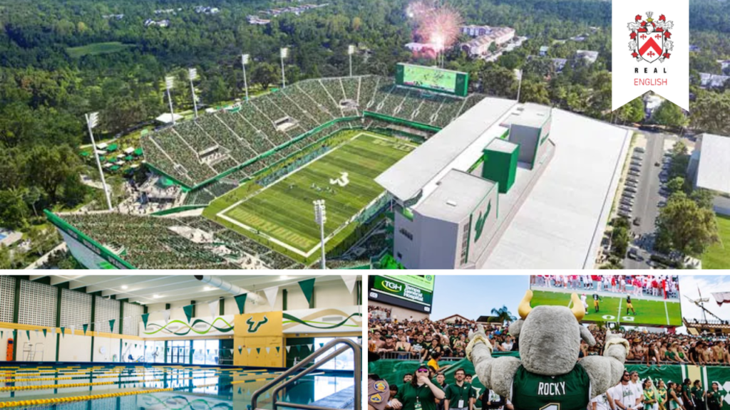 the-thao-usf
